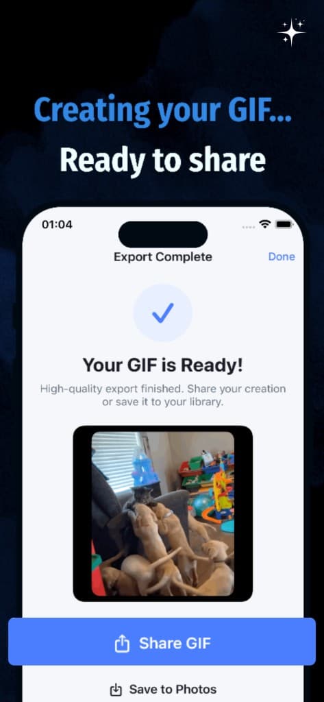 Export and share